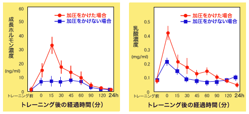 成長ホルモンの分泌